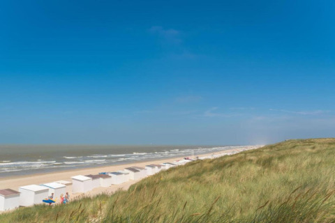 Uitzicht op het strand bij Breeduyn Village 3 in België met witte huisjes en grasduinen onder blauwe lucht.