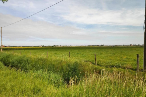 Uitgestrekt groen veld met afrastering en elektriciteitspalen bij lodge Breeduyn Village 3 in België.
