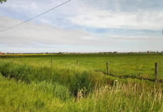 Uitgestrekt groen veld met afrastering en elektriciteitspalen bij lodge Breeduyn Village 3 in België.