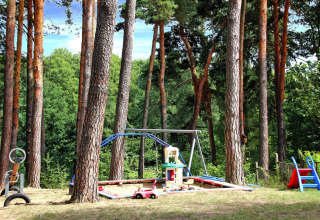 Speelplein in het bos bij bungalow «35 qm 2 Pers» in Duitsland, omringd door hoge dennenbomen.