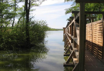 Pasarela de madera en alojamiento glamping con vistas a un lago tranquilo y rodeada de árboles verdes.