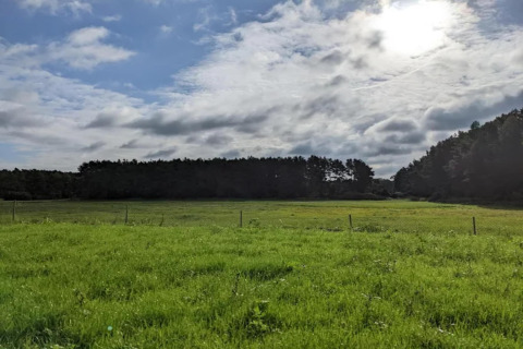 Groen grasveld aan een glampingverblijf met bomen op de achtergrond onder een gedeeltelijk bewolkte hemel.