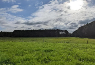 Ampio prato verde in una struttura glamping, circondato da alberi e cielo nuvoloso leggermente soleggiato.