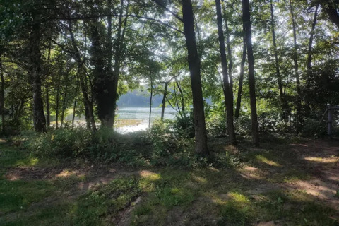 Uitzicht op een meer tussen bomen bij een glamping-accommodatie, zonlicht door het bladerdak.