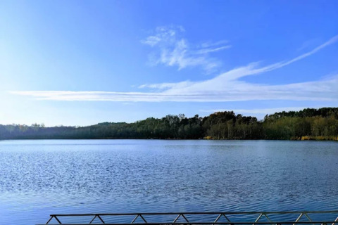 Uitzicht op een kalme vijver en bos vanuit een glamping verblijf onder een heldere blauwe hemel.