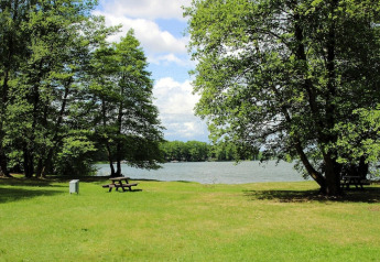 Lush lawn with picnic bench and lake view surrounded by trees at Holiday home 'Susanne' in Germany.