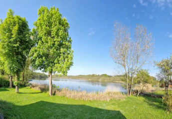 Vista desde un alojamiento glamping con árboles verdes, lago tranquilo y cielo azul despejado en verano.