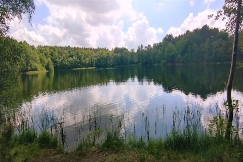 Kalm meer omgeven door bossen en lucht, gezien vanaf een glampingverblijf in het hart van de natuur.