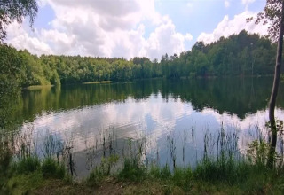 Kalm meer omgeven door bossen en lucht, gezien vanaf een glampingverblijf in het hart van de natuur.