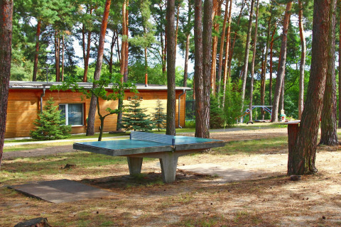 Buiten tafeltennistafel bij Bungalow «50 qm 5 Pers» tussen de bomen in Duitsland.