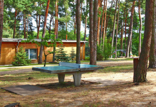 Buiten tafeltennistafel bij Bungalow «50 qm 5 Pers» tussen de bomen in Duitsland.