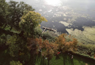 Vista aerea del lodge Bungalow «50 qm 5 Pers» in Germania, con alberi, prato e riva del lago.