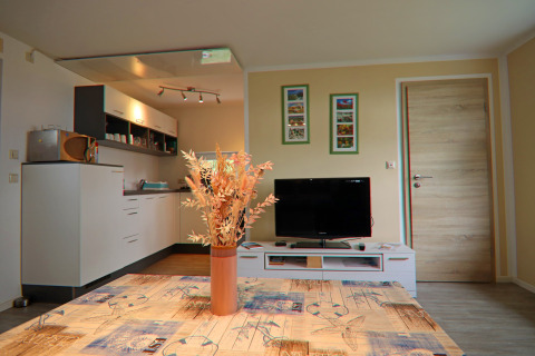 Woonkamer en keuken in lodge 'Am Strand' in Duitsland met tv, bloemen en moderne inrichting.
