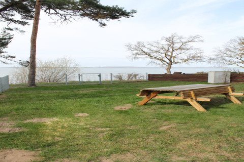 Uitzicht op zee vanaf het grasveld bij lodge 'Am Strand' in Duitsland met houten tafel en bomen.