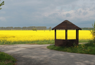Prieel bij een pad met uitzicht op een uitgestrekt geel bloemenveld bij lodge «Am Strand» in Duitsland.