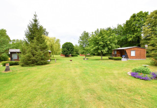 Uitgestrekte grasvelden en houten bungalows in het bungalowpark Gänseblümchen 6, omringd door bomen in Duitsland.