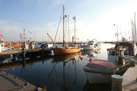 Des bateaux amarrés dans un port ensoleillé, vus depuis un hébergement glamping avec belle vue sur l’eau.