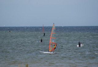 Personas practicando windsurf y navegando cerca del complejo Bungalow «Gänseblümchen 6» en Alemania en un día ventoso.