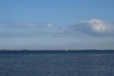 Zicht op zee met vogels en een verre zeilboot, genomen vanaf bungalowcomplex Gänseblümchen 6 in Duitsland.