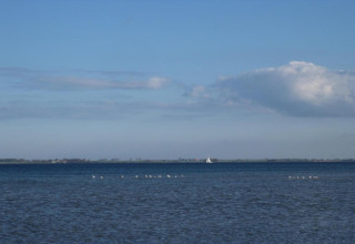 Zicht op zee met vogels en een verre zeilboot, genomen vanaf bungalowcomplex Gänseblümchen 6 in Duitsland.