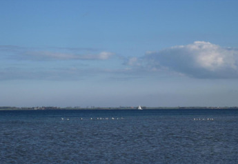 Zicht op zee met vogels en een verre zeilboot, genomen vanaf bungalowcomplex Gänseblümchen 6 in Duitsland.