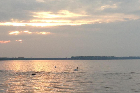 Zonsondergang bij het meer aan bungalowcomplex Gänseblümchen 6 in Duitsland, zwanen op het water.