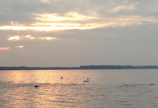 Sunset scene by the lake at Bungalow complex Gänseblümchen 6 in Germany, swans swimming on the water.