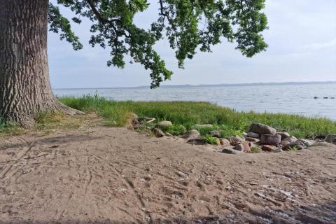 Udsigt til søen fra Bungalowkomplekset Gänseblümchen 6 i Tyskland med et stort træ og sten.