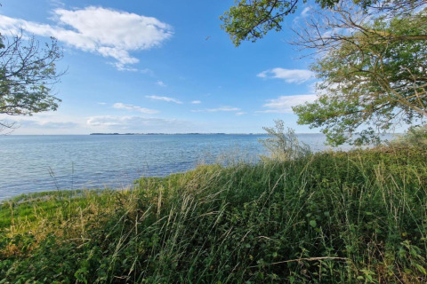 Udsigt over havet og grønt område med træer og græs ved Bungalow-komplekset Gänseblümchen 6, Tyskland.