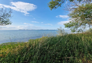 Zicht op de zee met bomen en gras op de voorgrond bij bungalowcomplex Gänseblümchen 6, Duitsland.