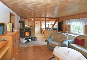 Salon de chalet en Allemagne avec poêle à bois, canapés confortables et fenêtre donnant sur la nature.