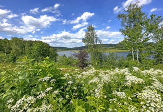 Udsigt fra et tiny house over en sø omgivet af vilde blomster og grønne træer under en blå himmel.