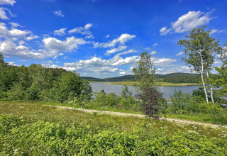 Uitzicht vanuit een tiny house op een rivier, groene natuur en bomen onder een blauwe lucht met wolken.