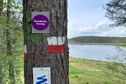 Boom met Eixendorfer Seeweg bordje aan een meer, met bos en heuvels op de achtergrond.