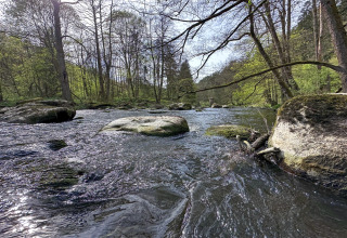 Foto de un arroyo rodeado de rocas y bosque, capturada cerca de una tiny house en un entorno primaveral.