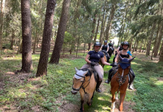Un gruppo di persone cavalca tra gli alberi di una foresta verde, tutti indossando caschi da equitazione.