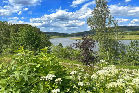 Vista da una tiny house su piante verdi, alberi, un fiume e cielo azzurro con nuvole sullo sfondo.