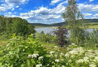 Vista da una tiny house su piante verdi, alberi, un fiume e cielo azzurro con nuvole sullo sfondo.