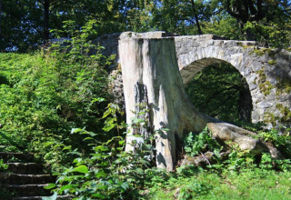 Grande ceppo d'albero e ponte di pietra tra vegetazione al Holiday village SEEBLICK - Tiny Chalet am Eixendorfer See.