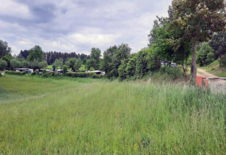 Photo of a tiny house area surrounded by green grass, trees, and a path under a cloudy sky.