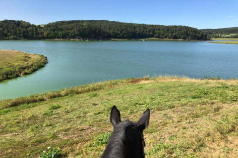 View from horseback towards the lake at Holiday village SEEBLICK - Tiny Chalet am Eixendorfer See on a sunny day