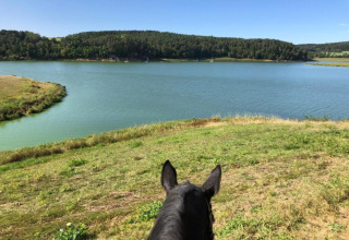 Vista dalla schiena di un cavallo verso il lago presso Holiday village SEEBLICK - Tiny Chalet am Eixendorfer See in una giornata di sole