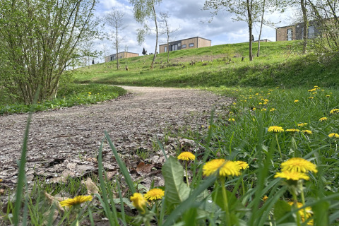 Un sentiero ghiaioso con tarassaco conduce a casette di legno su una collina verde sotto cielo nuvoloso.