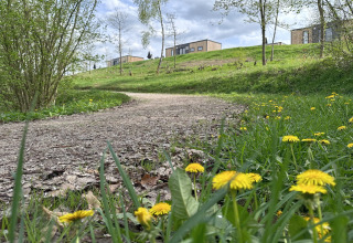 En grussti med mælkebøtter fører op til små træhuse på en grøn bakke under en overskyet himmel.