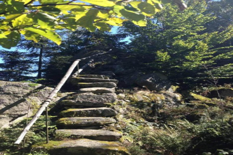 Steintreppe mit Moos und Holzgeländer im Holiday village SEEBLICK, umgeben von Bäumen in Deutschland.