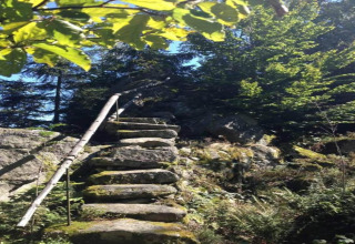 Scala di pietra con muschio e corrimano in legno al Holiday village SEEBLICK, circondato dalla natura in Germania.