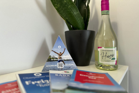 Bouteille de Hugo, brochures touristiques et plante sur une table au SEEBLICK Tiny Chalet am Eixendorfer See.