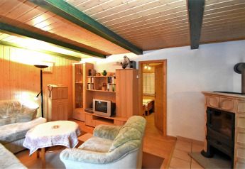 Cozy living room at Neustadt lodge in Germany with wood paneling, fireplace and comfortable sofas.