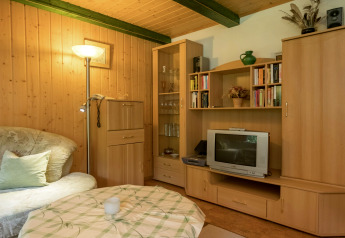 Cozy living room at lodge Neustadt in Germany featuring wood paneling, retro TV, bookshelf, and sofa.