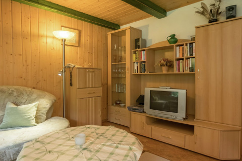 Gezellige woonkamer in lodge Neustadt in Duitsland, met houten lambrisering, retro-tv en boekenkast.